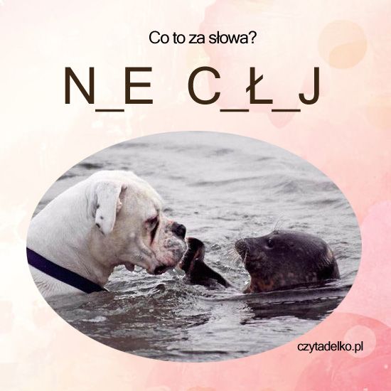 Co to za słowa?