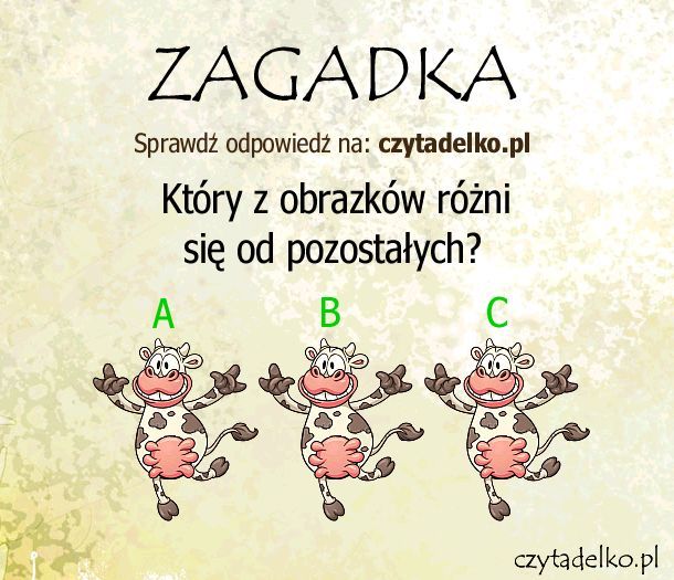 Który z obrazków?